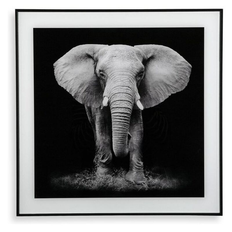 Cuadro Elephant (2 x 50 x 50 cm)