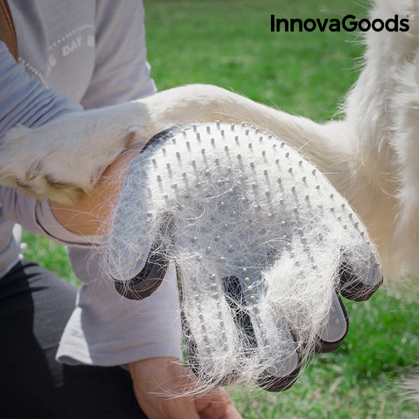 Luva InnovaGoods para escovar e massagear animais de estimação