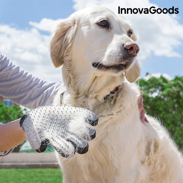 Luva InnovaGoods para escovar e massagear animais de estimação